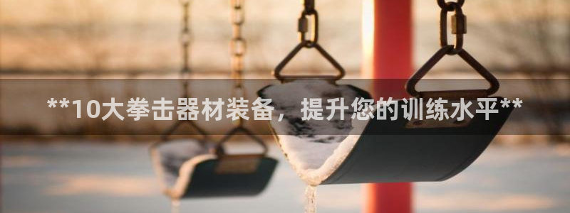 海南意昂体育3发展怎么样：**10大拳击器材装备，提