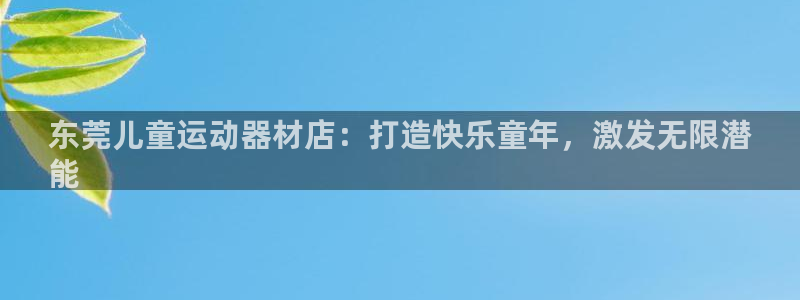 意昂体育3软件：东莞儿童运动器材店：打造快乐童年，激
