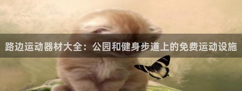 意昂3娱乐平台：路边运动器材大全：公园和健身步道上的