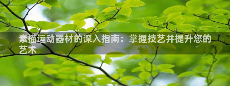 意昂体育3招商电话是多少啊：素描运动器材的深入指南：