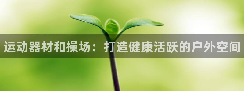意昂体育3注册：运动器材和操场：打造健康活跃的户外空