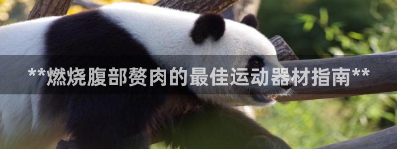 意昂3新能源：**燃烧腹部赘肉的最佳运动器材指南**