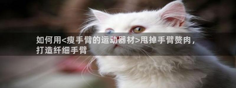 意昂3集团简介：如何用<瘦手臂的运动器材>甩掉手臂赘