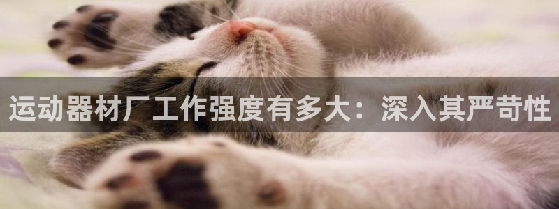 意昂体育3注册：运动器材厂工作强度有多大：深入其严苛
