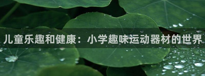 意昂3神州：儿童乐趣和健康：小学趣味运动器材的世界