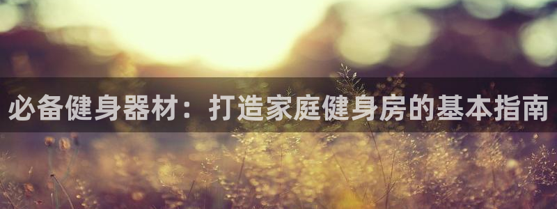 意昂体育3平台注册要钱吗：必备健身器材：打造家庭健身
