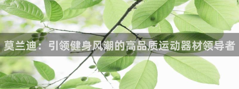 意昂体育3招商电话：莫兰迪：引领健身风潮的高品质运动