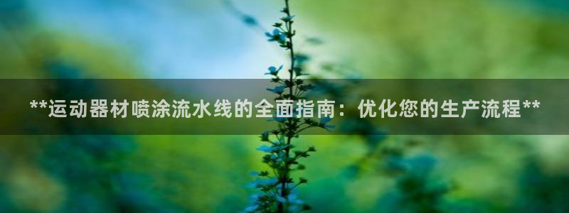 意昂体育3平台注册要钱吗安全吗：**运动器材喷涂流水线的全面