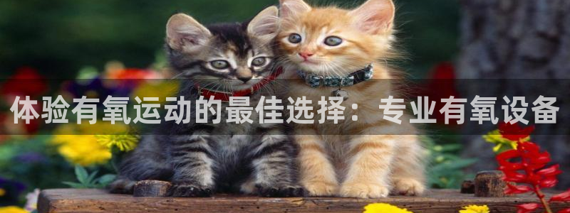 意昂3娱乐是那个系列的台子