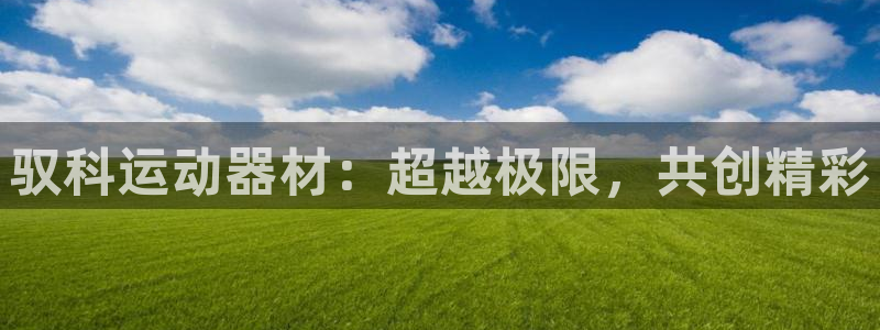 意昂3娱乐代理怎么样