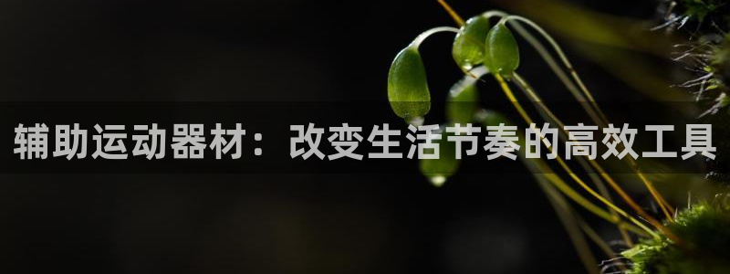 意昂体育3招商电话地址