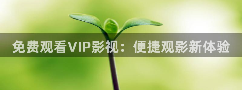 山外人精品影院洋洋av