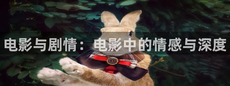 山外人精品影院洋洋av