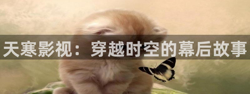 山外人精品影院在线