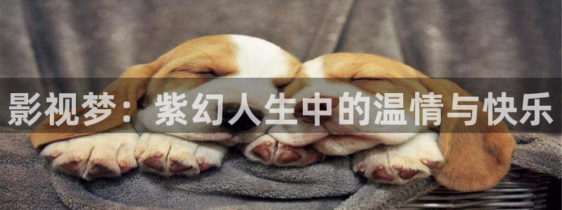 山外人精品影院在线观看