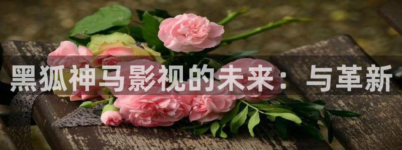 山外人精品影院