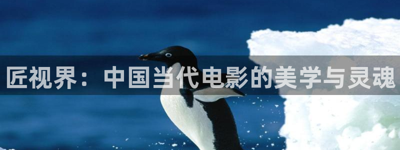山外人精品影院洋洋av：匠视界：中国当代电影的美学与灵魂