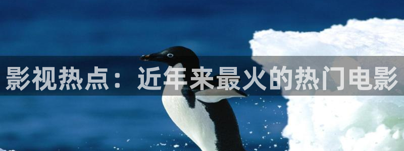 山外人精品影院在线观看：影视热点：近年来最火的热门电影
