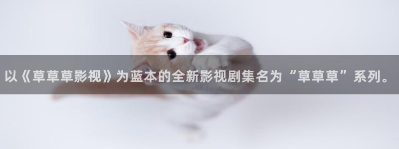 山外人精品影院洋洋av