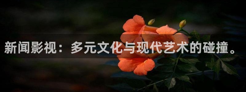 山外人精品影院 6 在线观看