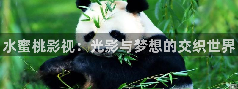 山外人精品影院洋洋av：水蜜桃影视：光影与梦想的交织世界